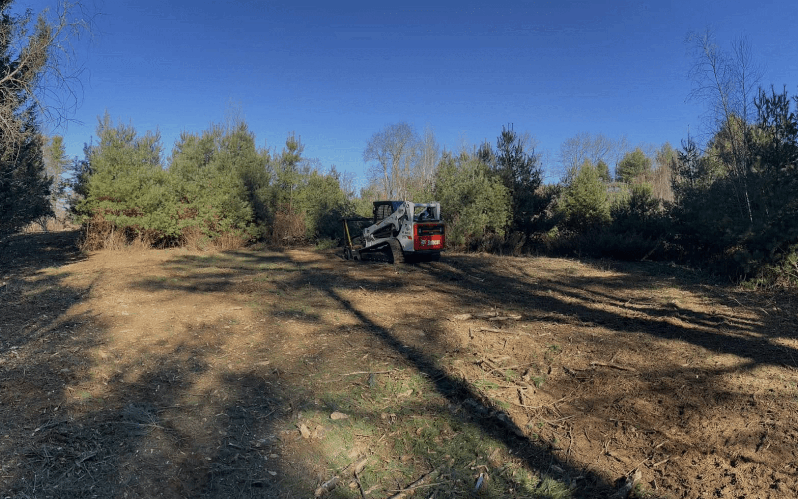 Land Clearing